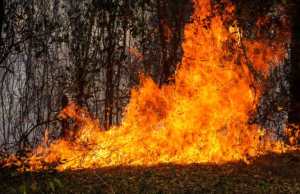 Refuerzan atención de incendios en el Tolima con 225 soldados