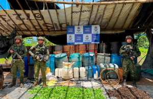 Destruyen laboratorio para el procesamiento de base de coca en Vichada
