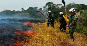 Diez incendios forestales activos en Colombia: siete son en Tolima
