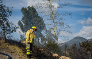 El Niño se intensificaría a nivel muy fuerte en el último trimestre: Ideam