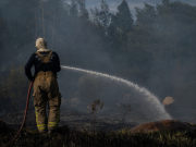 Desde el 16 junio se han registrado 438 incendios forestales en todo el país