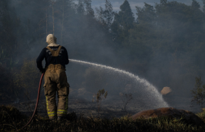 Desde el 16 junio se han registrado 438 incendios forestales en todo el país