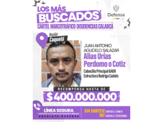 Fuerzas Militares abatieron a mano derecha de ‘Calarcá’ en zona rural de Guaviare