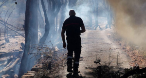 ONU: calor, incendios y sequías en Europa irán en aumento