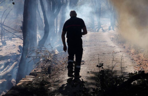 ONU: calor, incendios y sequías en Europa irán en aumento