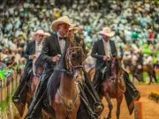 Una feria que una la tradición con lo más excelso del Caballo Criollo Colombiano