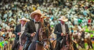 Una feria que una la tradición con lo más excelso del Caballo Criollo Colombiano
