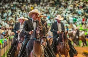 Una feria que una la tradición con lo más excelso del Caballo Criollo Colombiano