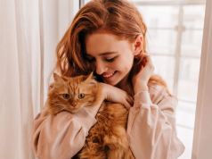 Cinco señales que alertan sobre el bienestar del gato