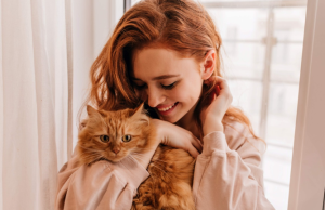 Cinco señales que alertan sobre el bienestar del gato