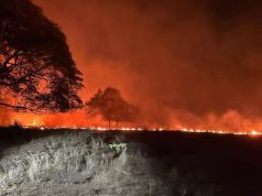 Siguen activos 14 incendios forestales, la mayoría en el Tolima