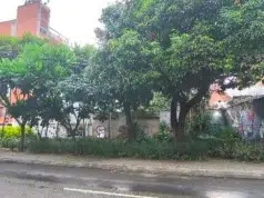 Comunidad de Astorga pide conservar el Parque del Silencio y propone un Corredor Vivo