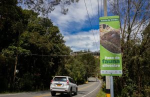 Política Pública de Biodiversidad en Envigado