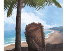 Hallan especie de helecho de hace 114 millones de años