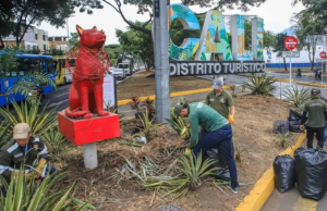 Cali embellece principales corredores viales para posesión presidencial