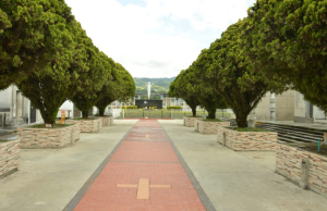 Alerta en Pereira por exposición de cadáveres tras colapso de cementerio