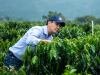 Exportación de café colombiano continúa sin novedad: FedeCafeteros