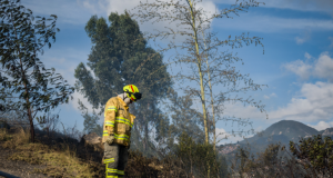 Alerta por 77 incendios de cobertura vegetal en municipios de Nariño