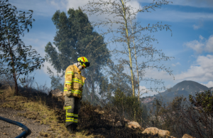 Alerta por 77 incendios de cobertura vegetal en municipios de Nariño