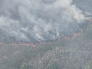 Bomberos y Ejército combaten fuego forestal en el norte del Cesar