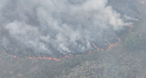 Bomberos y Ejército combaten fuego forestal en el norte del Cesar