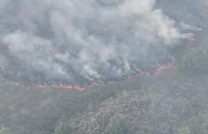 Bomberos y Ejército combaten fuego forestal en el norte del Cesar