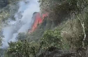 Alerta en Autopista Sur por incendio forestal cerca a peaje de Chusacá