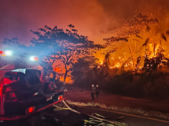 Capturan a dos personas por provocar incendios forestales en el Tolima