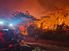 Gobierno declara calamidad pública por incendios en Tolima