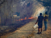 Siguen activos 38 incendios forestales en el Tolima