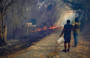 Siguen activos 38 incendios forestales en el Tolima