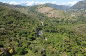 MinAmbiente revoca reserva ‘La Baja’ por presuntas anomalías en proceso