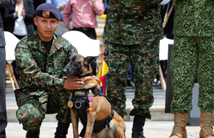 Proyecto en el Senado busca otorgar derecho al voto a la Fuerza Pública