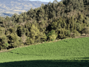 Otorgan licencia ambiental a proyecto Subestación Chivor II y Norte