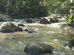 Piragua cumple 15 años monitoreando el agua en Antioquia