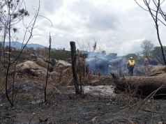Cundinamarca con tres incendios activos en Viotá, Bojacá y Guataquí